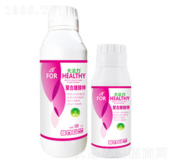 �����Ǵ��-����-�B������