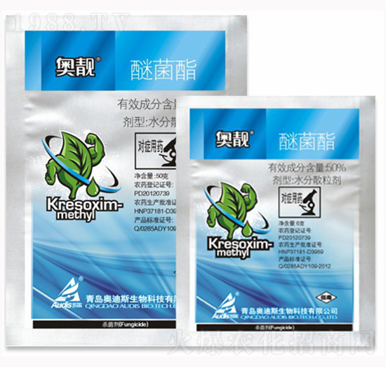 50%�Ѿ���-�W�n-������