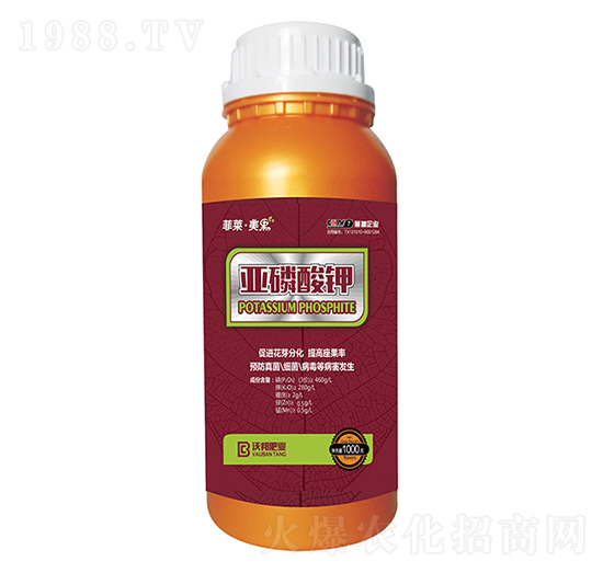 �������-���R������-�ְ�ʘI(y��)