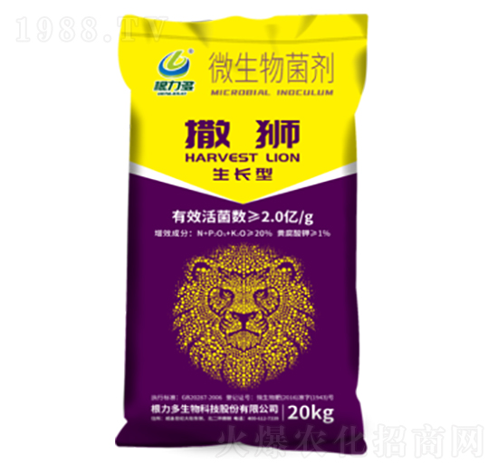 ΢�������-���{-������