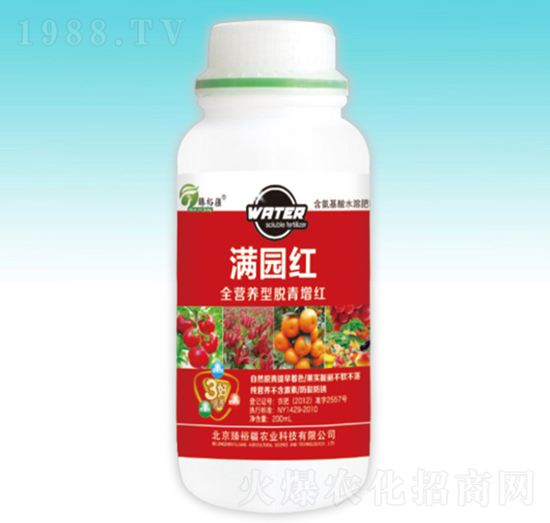 ȫ�I(y��ng)�B(y��ng)��Ó�����t-�M�@�t-��ԣ��