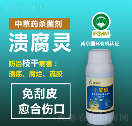 �в�ˎ������-�����`-�W�S