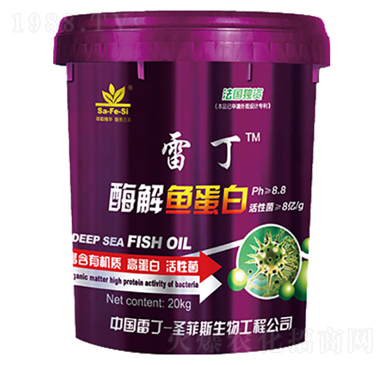 ø���~����-�׶�-ʥ��˹