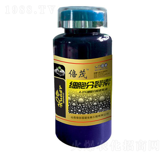 200g��(x��)��������-�A�����Z