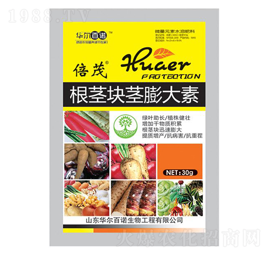 ���o�K�o�����-�A�����Z