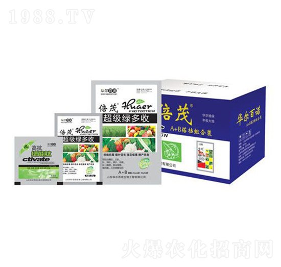 �����G����-�A�����Z