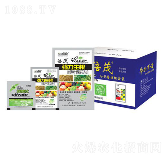 ���������G�~������-�A�����Z