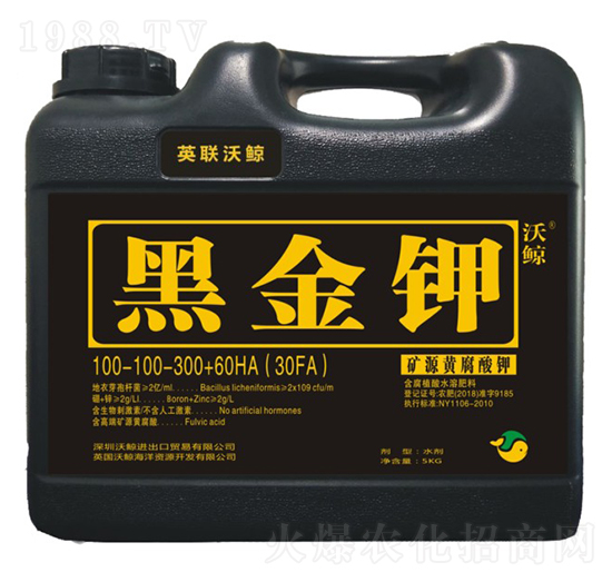 �VԴ�S�����-�ڽ��-���L