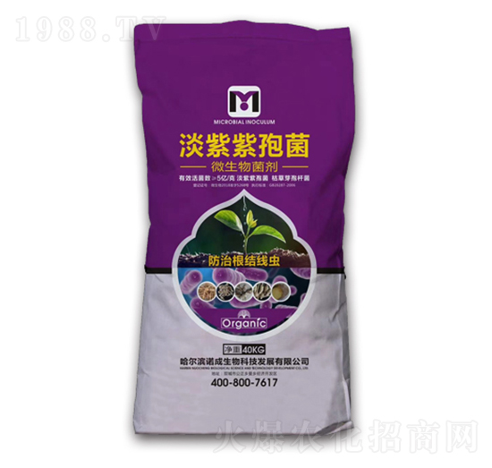 �������߾�-���r(n��ng)���F