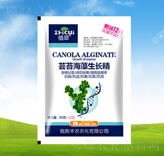 �|̦�������L��-ֲ��-�S�r(n��ng)�r(n��ng)��