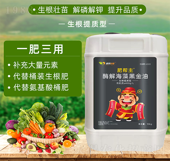 �������|(zh��)�;۹Ȱ��������-�ʎ���-�°��~��