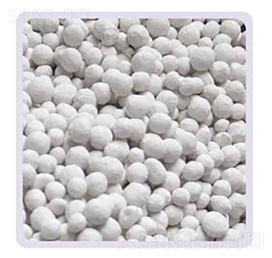 ���׏ͺϷ�16-20-���P����