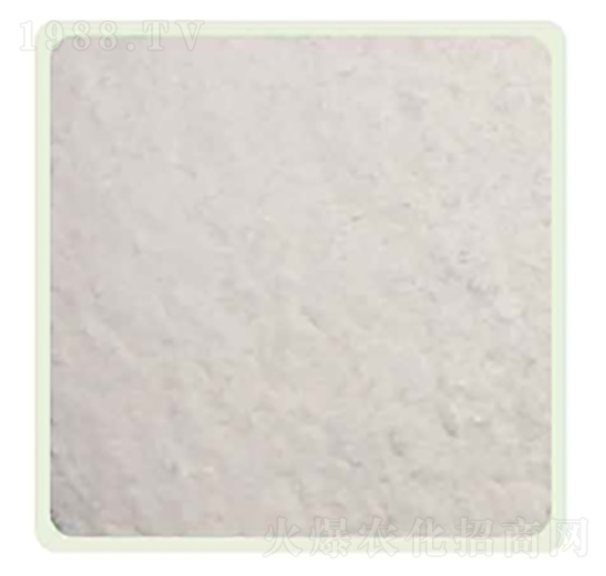 �����00-00-50-���P����