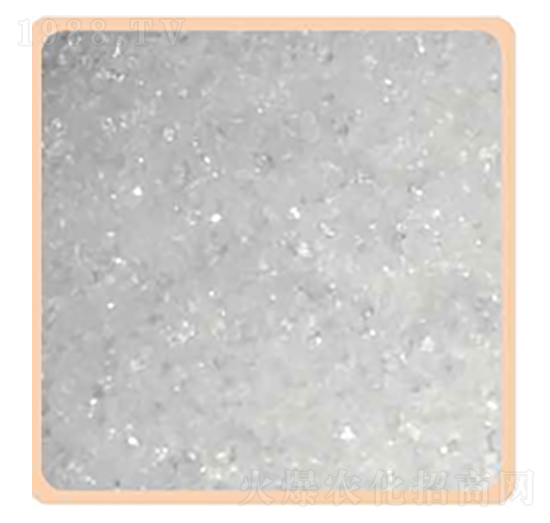 �����}-���P����