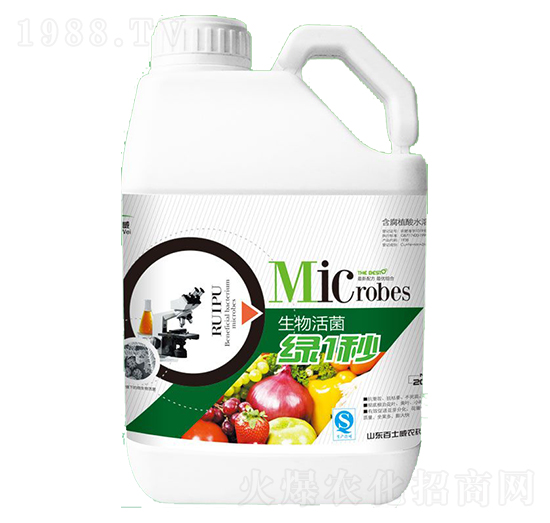 �G1��-��ʿ��