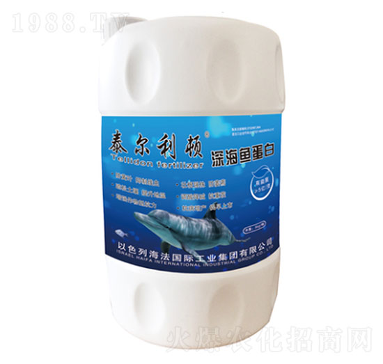 ��~����-̩�����D-ʥ�ɶ�