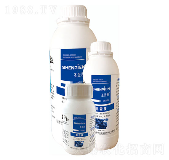 �����V-ʥ�ɶ�