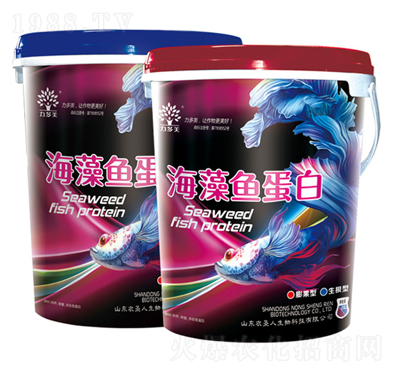 �����~����-������-�r(n��ng)ʥ��