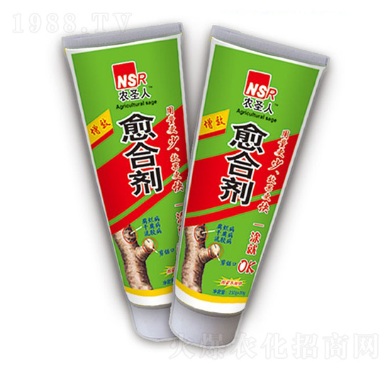 ��Ч���τ�-�r(n��ng)ʥ��