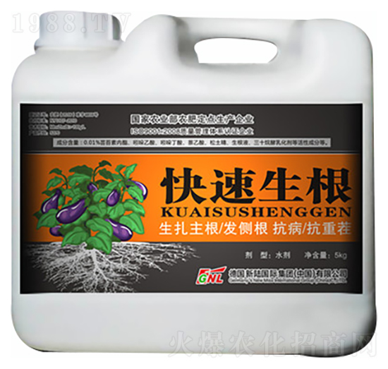 ����������-�»�