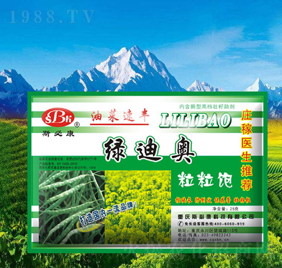 �Ͳ������-�G�ϊW-˹�ؿ�