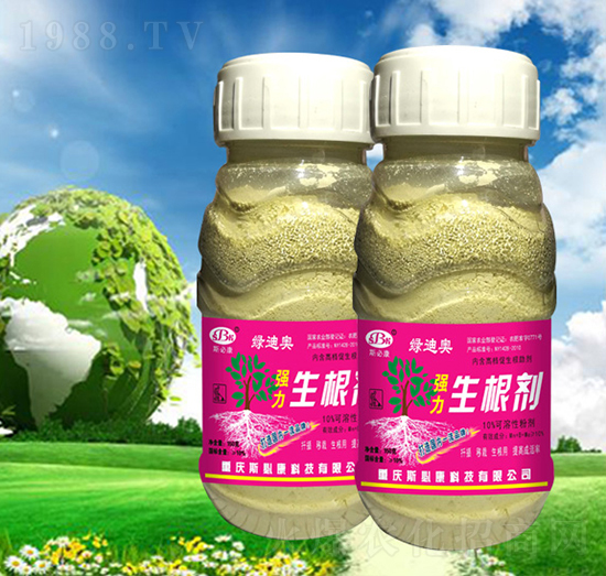 ƿ�b����������-�G�ϊW-˹�ؿ�