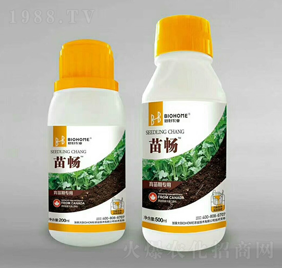 �����ڌ�(zhu��n)��-�畳-�����r(n��ng)�I(y��)