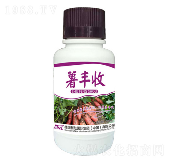 ���S��-�»�