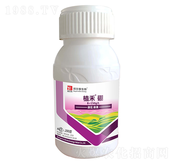 ֲ����-�̩