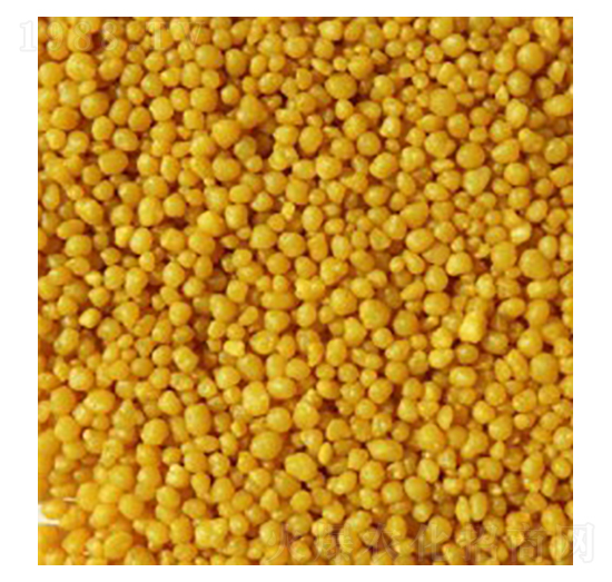 ���������@-����ʩ