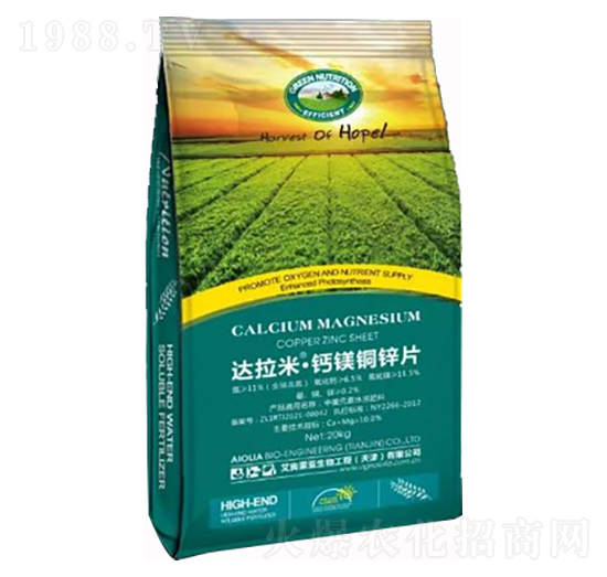 �_���ס��}�V�~�\Ƭ-���W�