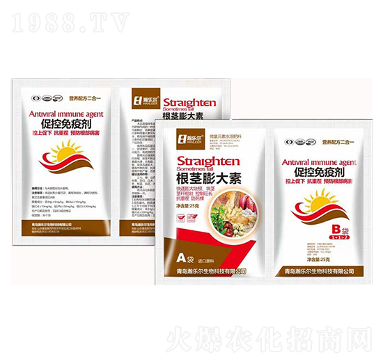 ���o�����+�ٿ����߄�-嫘���