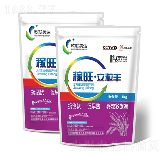 �����������S-�W(li��n)���_