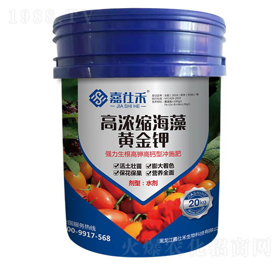 �ߝ�s�����S���-���˺�