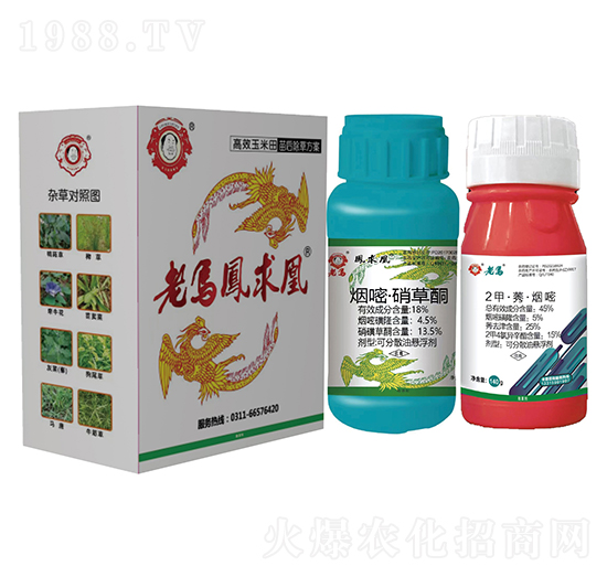 ��Ч�����������ݷ���-���R�L���-�����r�I(y��)