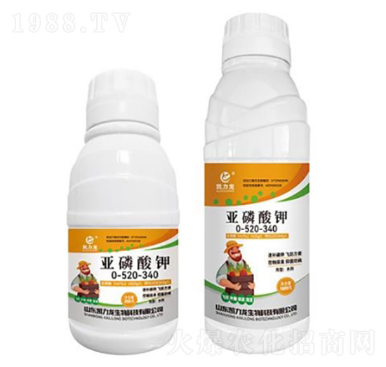 �������0-520-340+TE-�P����