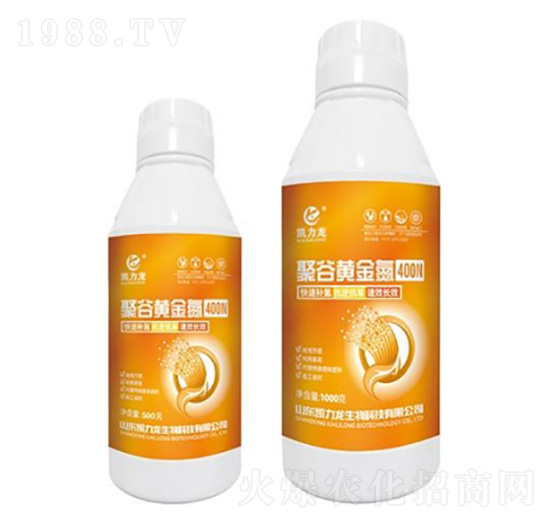 �۹��S��-�P����