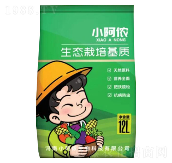 ���B(t��i)������|-С���z