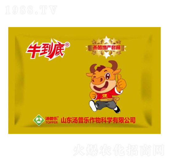 �������a(ch��n)�ײ�-ţ����-���՘�