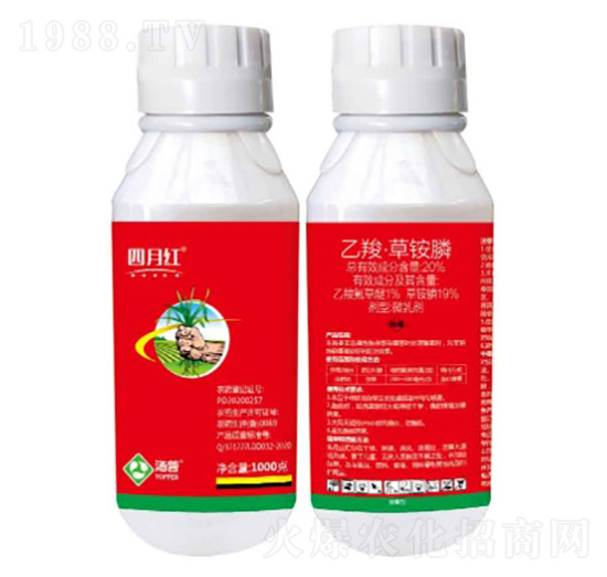 20%���ȡ����@�΢�鄩-���¼t-���՘�