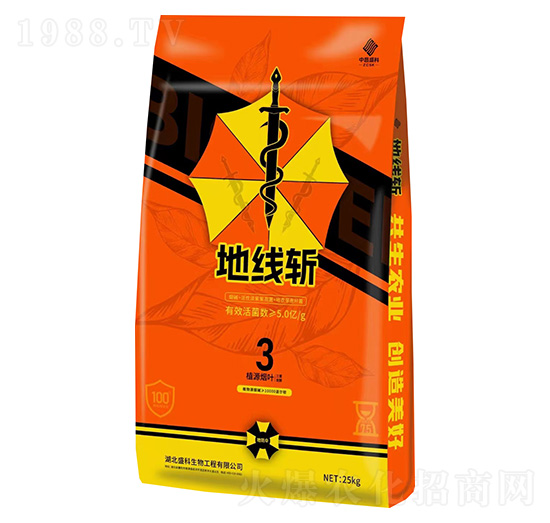 �ؾ�(xi��n)��-�в�ʢ��-ʢ������