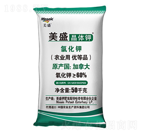 ��ʢ�ƾ��w�-¡���r�Y