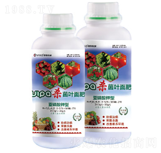 ���������������-�s�ͿƼ�