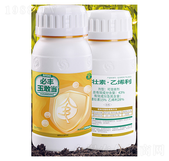 43%�����ء���ϩ������Һ��-���S��Ү�-����S