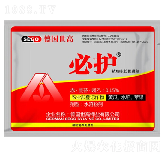 ֲ�����L���M(j��n)��-���o(h��)-����������