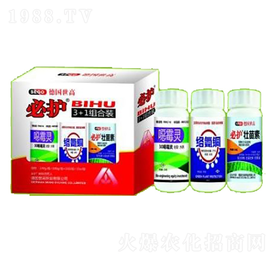 ���o���ݽM��-����������