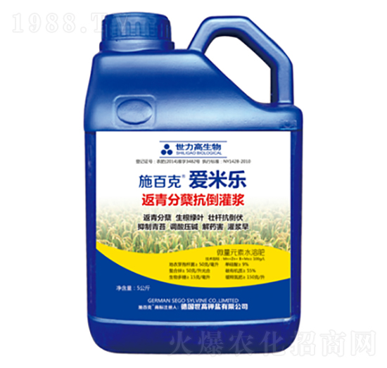 ������Y�������{-ʩ�ٿˡ����ט�(l��)-����������