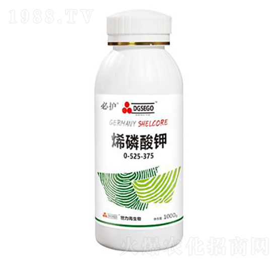 ϩ�����-���o(h��)-����������