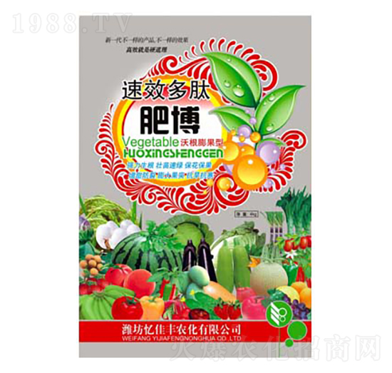 �ʸ�-�|���S