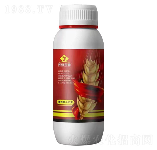 11%�������x��-�K��ӡ��